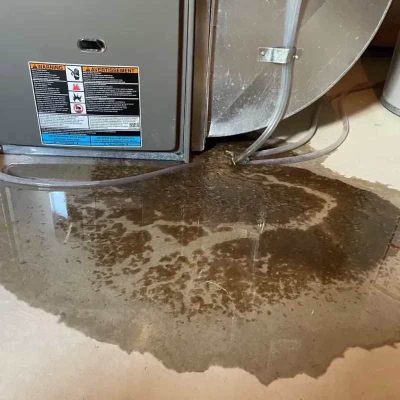 Appliance Leak Cleanup in Park Ridge, NJ